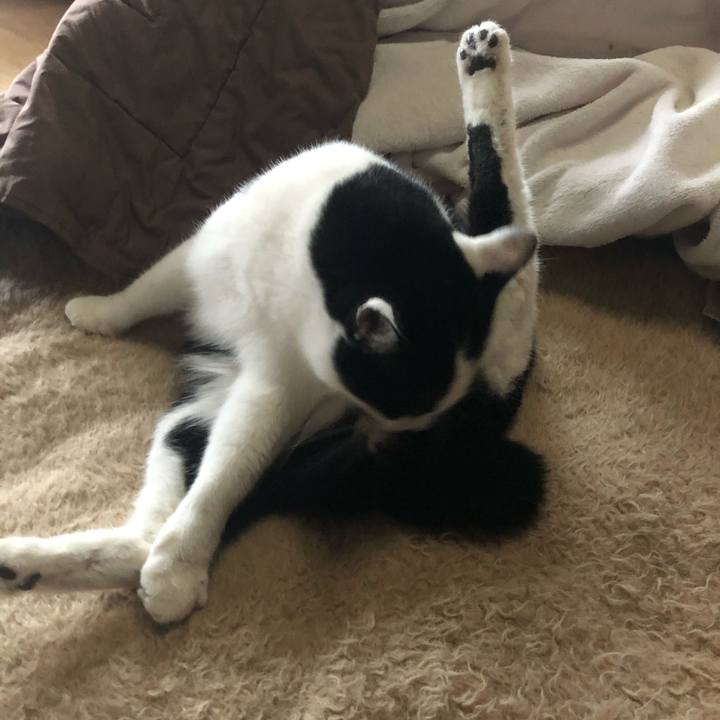 Fc7884b2 fa42 49a3 9f99 b5bcedb18ca4 1614331030406