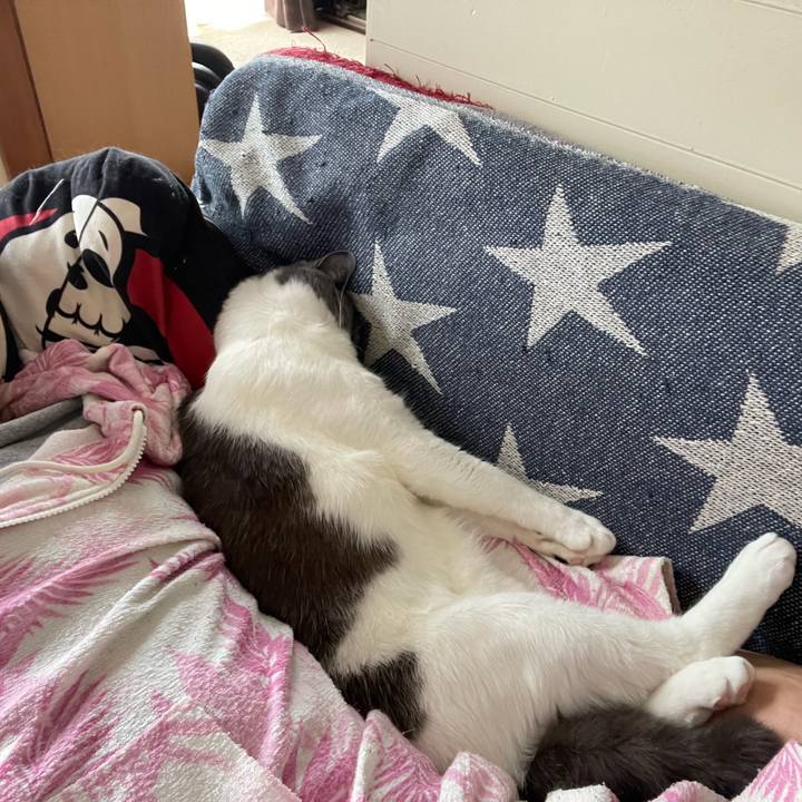 Fc78bb26 d332 45c7 8d11 245aeaa562fd 1651892394795