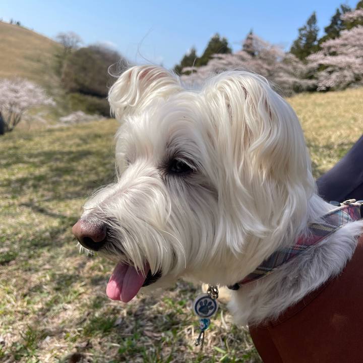 Fc78fc84 69b4 4d06 a84f 9be0cf9a94b3 1731296246463