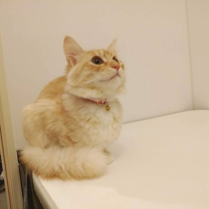 Fc7915f9 0964 4679 8b70 eed75be441a9 1612302484847