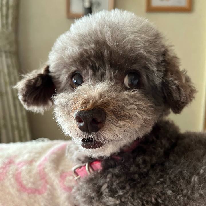 Fc792b50 25d1 4ce9 95fb c519a0f2583a 1727907805260