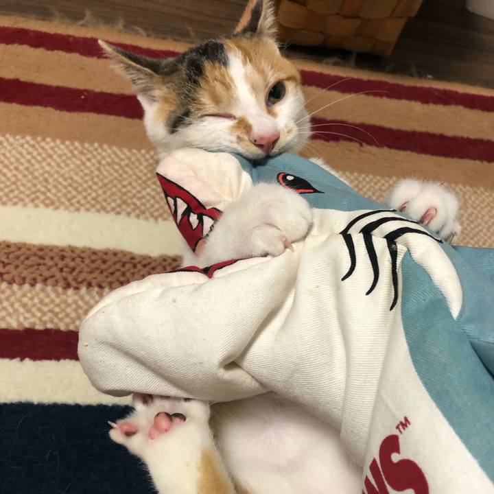 Fc794018 1fec 499d 9d3d 4d3aec5d1cd4 1566307891379