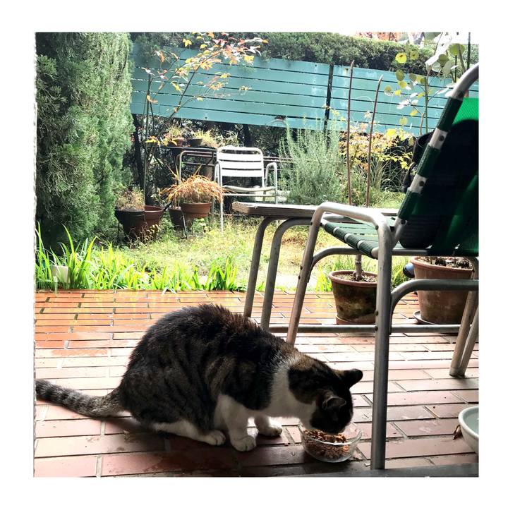 Fc7961aa ae8c 41b2 84ac dd8e073015d5 1575250479452