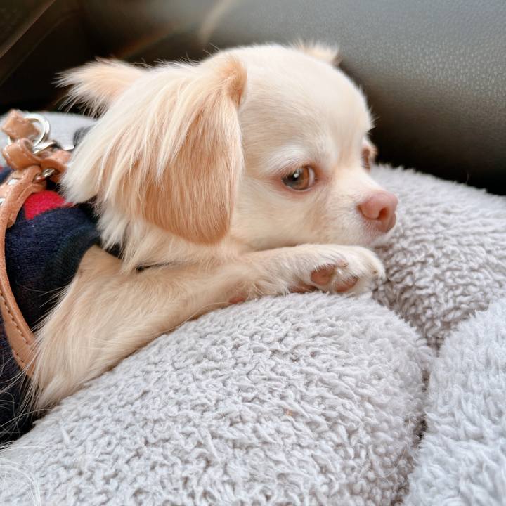 Fc796bee 4c0d 45b5 9e47 1c103367fc40 1676799297833