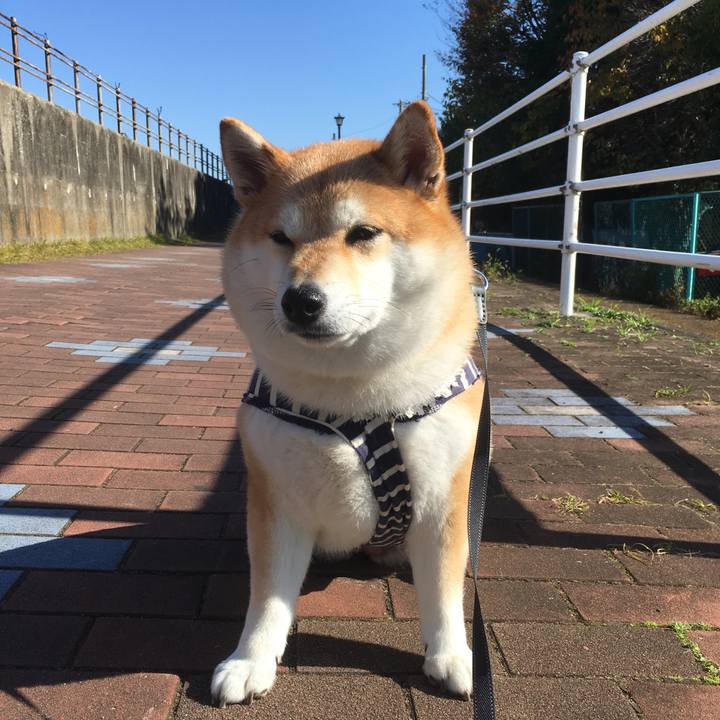 Fc7983fb 677d 4aa1 bbcd acde5b1f8c9e 1543547041844