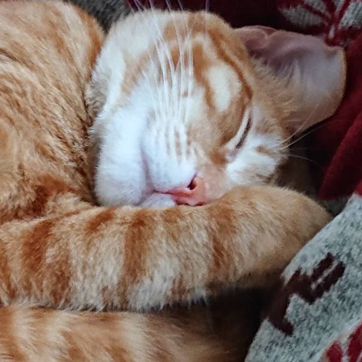 Fc79b572 a01a 496b ad2e 11448030ec4e 1579941072416