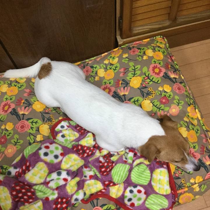 Fc79bbb7 b9de 4927 ba53 9ef611ee90e9 1535633912694