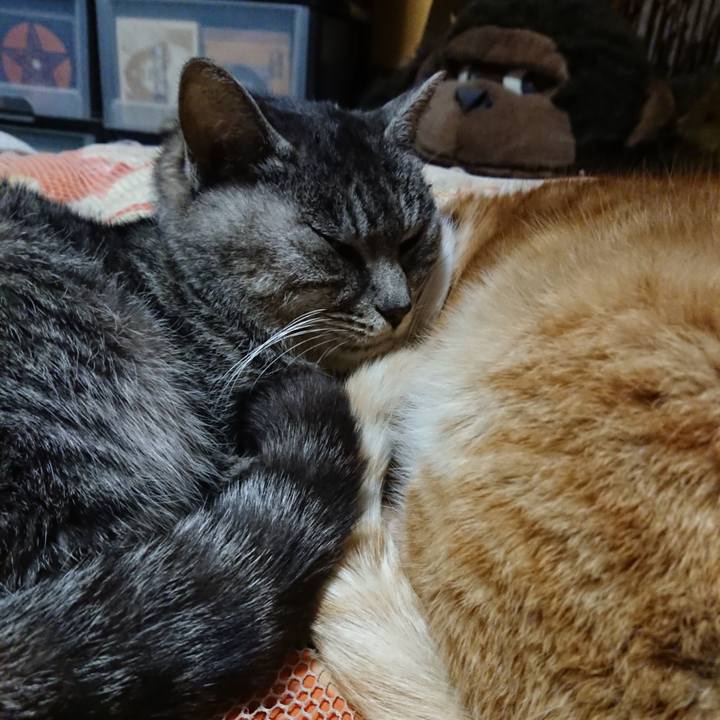 Fc79cef4 1ff8 460f 9dff 5217b6b44470 1578227104886