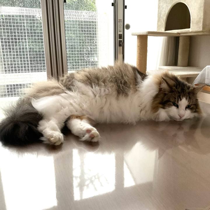 Fc79d603 c4f0 4364 9793 381bc4404d5a 1688180211497