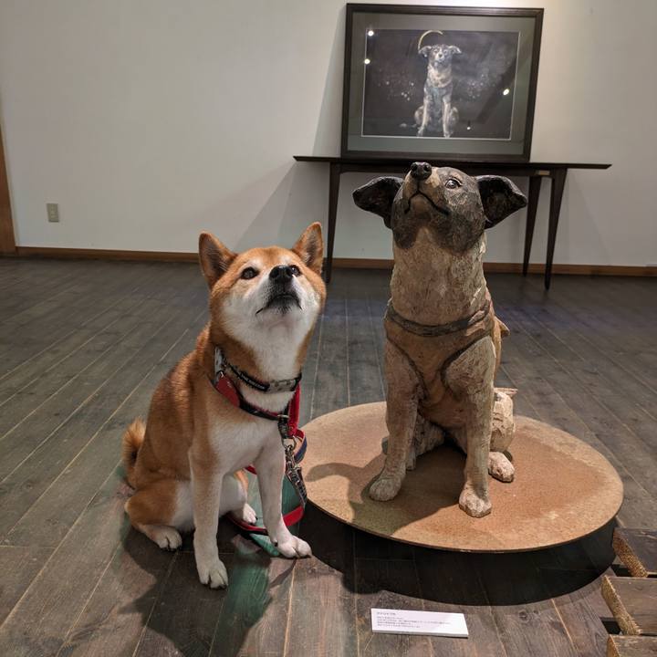 Fc7a0534 7f7a 4704 953c 0499dae6d46a 1715700948058