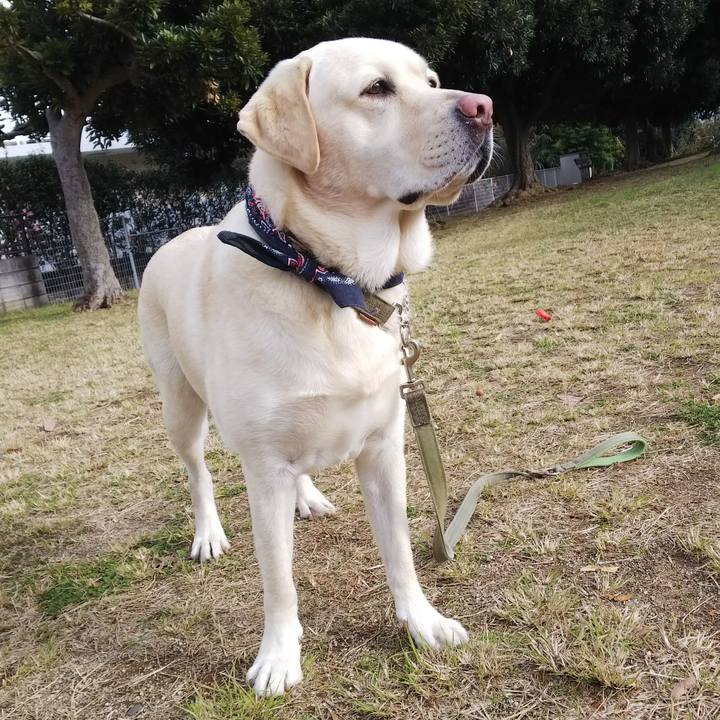 Fc7a16e9 956e 400a 9806 a21aa95edf70 1575865637955