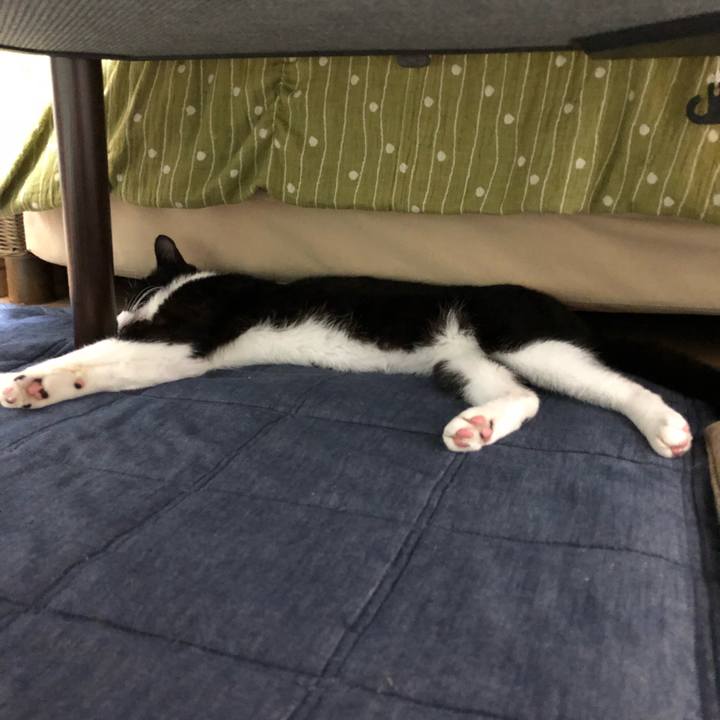 Fc7a388f 6726 4777 8c24 7abfdfc0e026 1530837517646