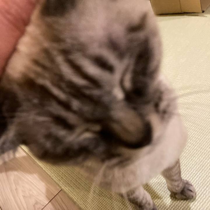 Fc7a4f29 54bc 46e4 9576 049aee45e548 1642082529285