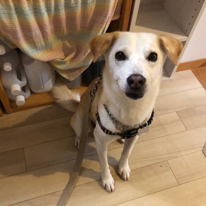 Fc7a594e 3921 4e51 a0fb 6b9f3a5a8261 1630582618883