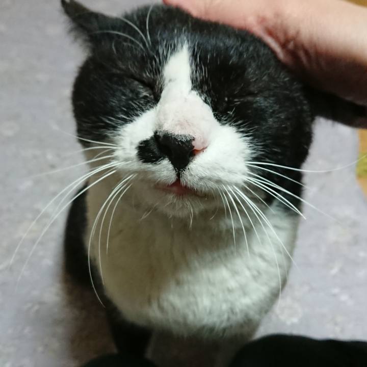 Fc7a60cf d5da 4f3a 9882 42c240f773a1 1550305510690