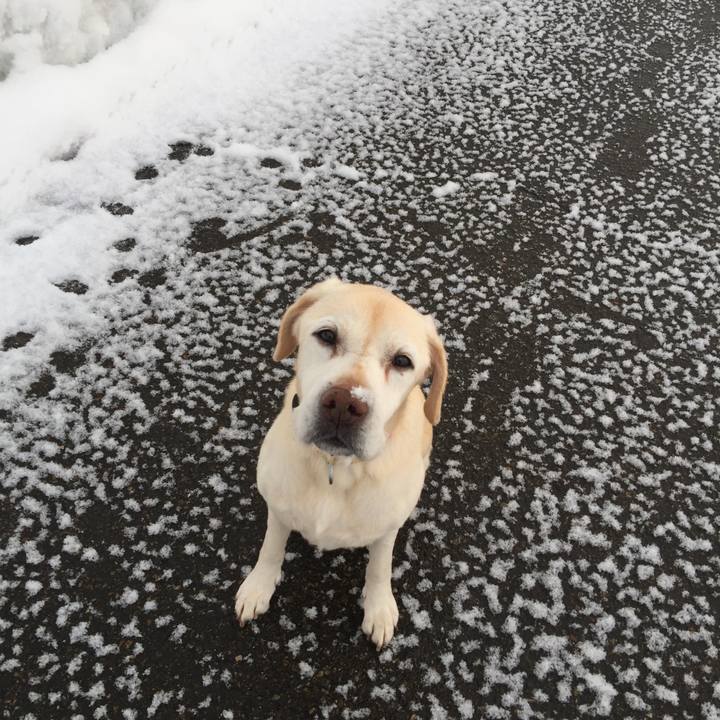 Fc7a6c1a 4cbf 42fd 8288 4cd680dbdc30 1519255024605