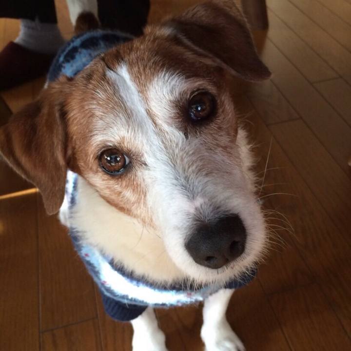 Fc7a8bb9 a7e9 4944 b460 59ff3fc9cf6b 1543321780159