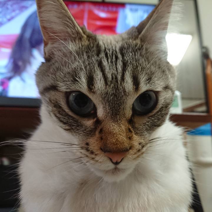 Fc7aae3b 8aa9 4077 aa9d 5e7845e41da9 1584884110688