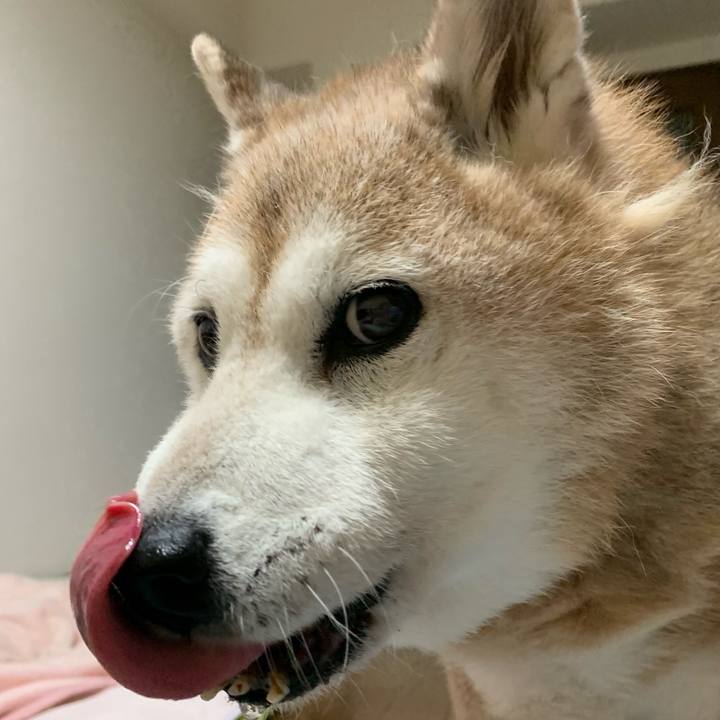 Fc7ac63a bb4f 4e72 8f50 ae80f984eac0 1659796995231