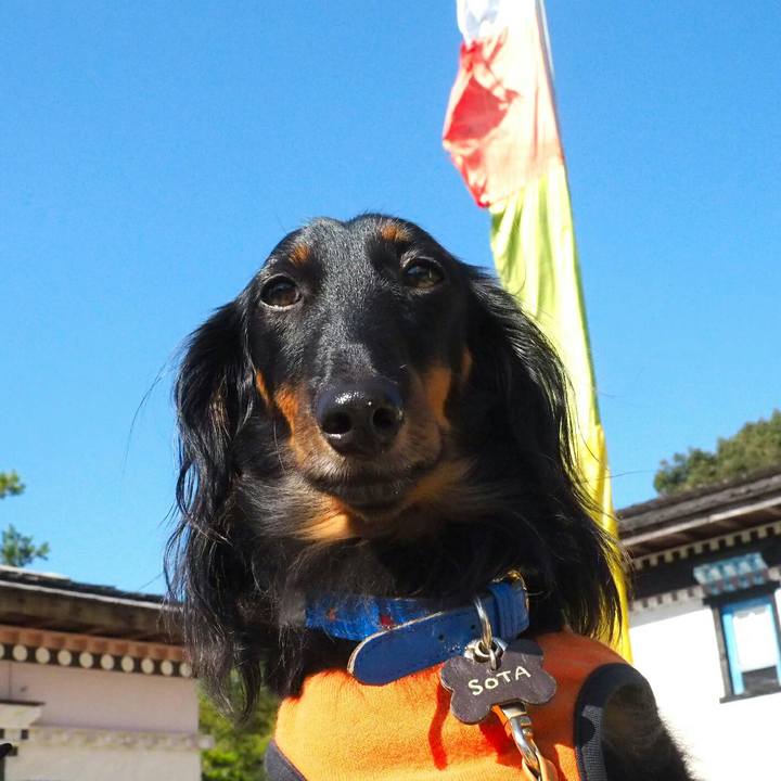 Fc7b2167 cbd3 4be4 af84 25489c0581b7 1510012337690