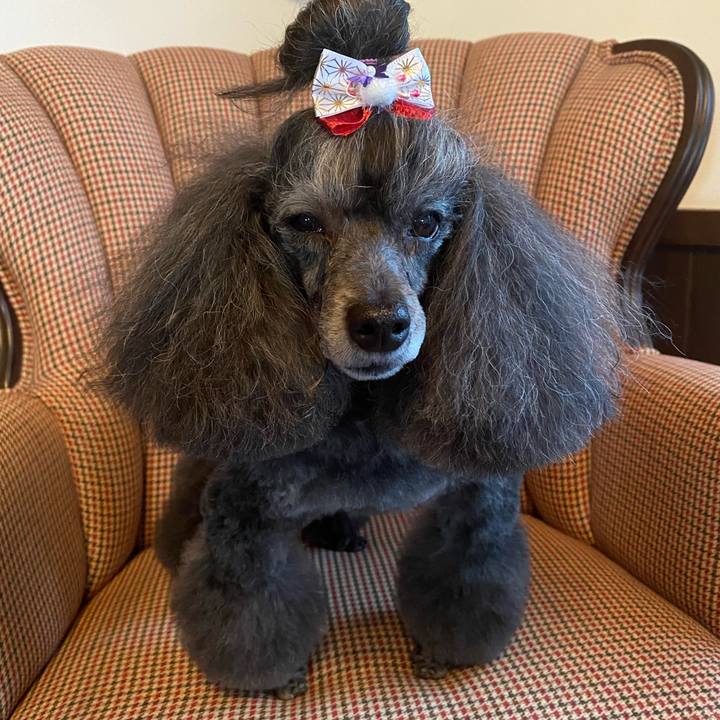 Fc7b32f0 c85c 45be 813f ca4252d6b8c8 1766891932441