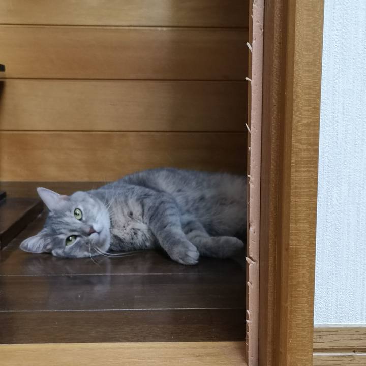 Fc7b3beb d729 471b b86d 344e089a8b96 1568211626856