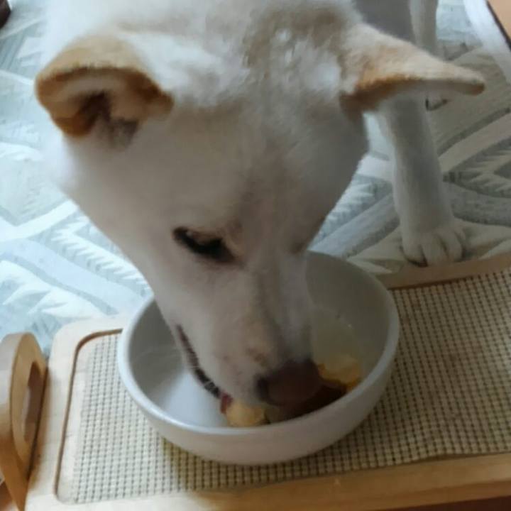 Fc7b49df 67a9 4c69 b9d0 b33e865e8db7 1521539091633