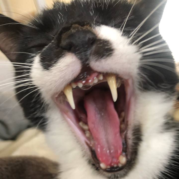 Fc7b5774 8b69 4470 912e 31a7f450e060 1639391599335