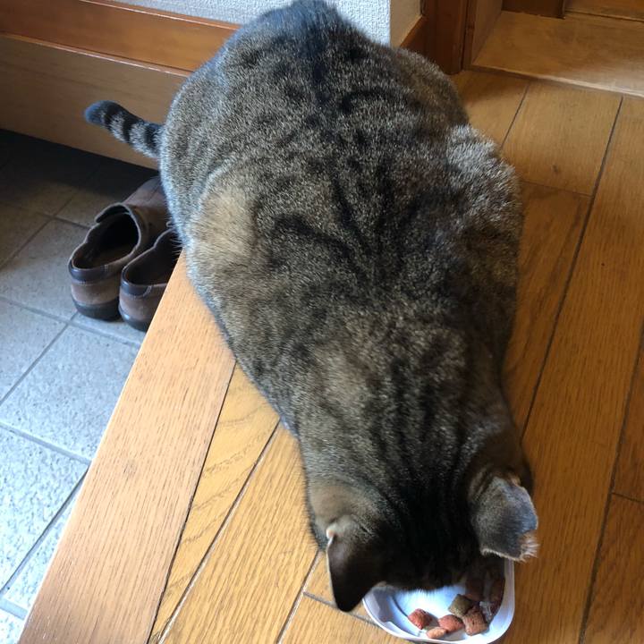 Fc7b6198 d106 4d7c 89b7 bd7db8644433 1518856855006