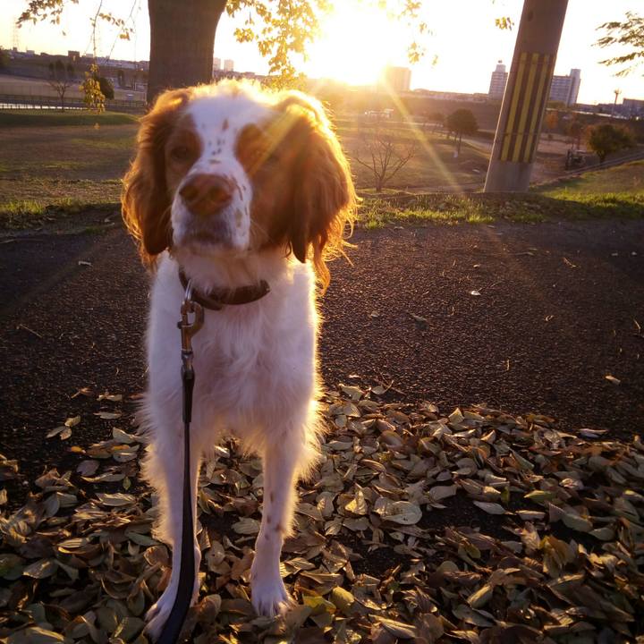 Fc7b6d46 db7a 423d b000 e0fefbd6d88f 1512203764027