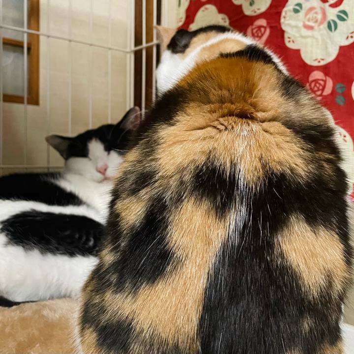 Fc7b8b0f 9f83 4ecb 8bec 342a5be485bf 1641950452341