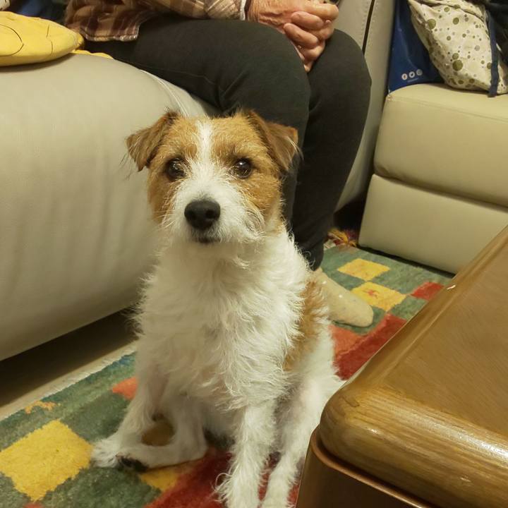 Fc7ba10d 9497 456a 902c c245f3346405 1608715527142