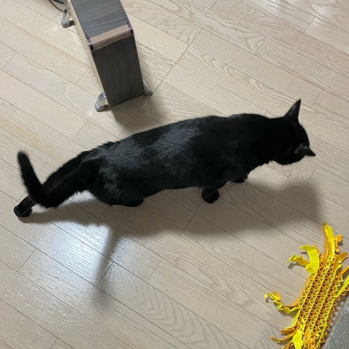 Fc7bb8cf aac9 407c aac7 44df0969def4 1702383861810