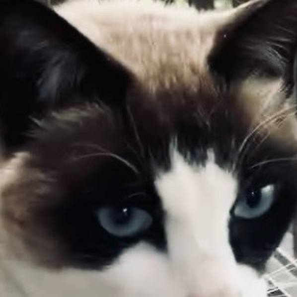 Fc7be80e 3177 40ca 979e b8895b17185a 1743215680715