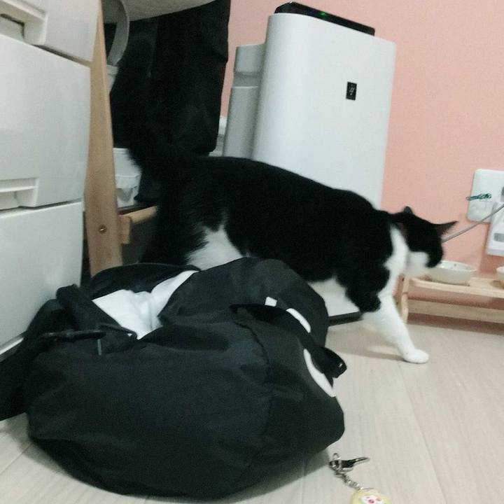 Fc7c3525 54d3 403f 8dea 935da4c20e45 1526307968203