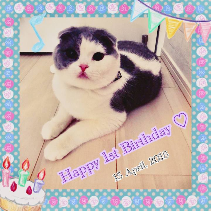 Fc7c710e 9f95 4d68 a3dc 09e12027697f 1523758063518