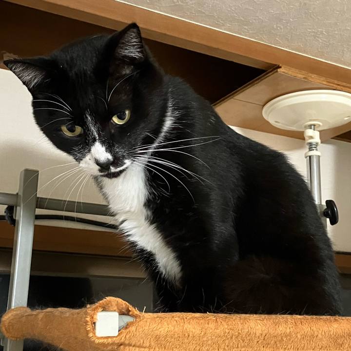 Fc7c8094 fdb4 41f2 b3a4 2d8110568810 1668137910387