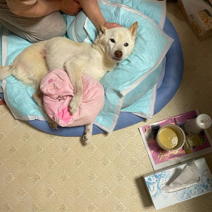 Fc7cb22a b809 443d 91c4 2fef902fb6bf 1681914377381