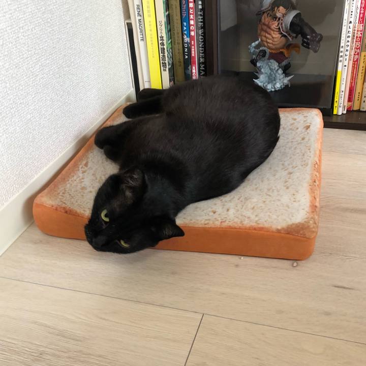 Fc7cb3ca 3aeb 4fc3 9292 691e3128450e 1524528464751