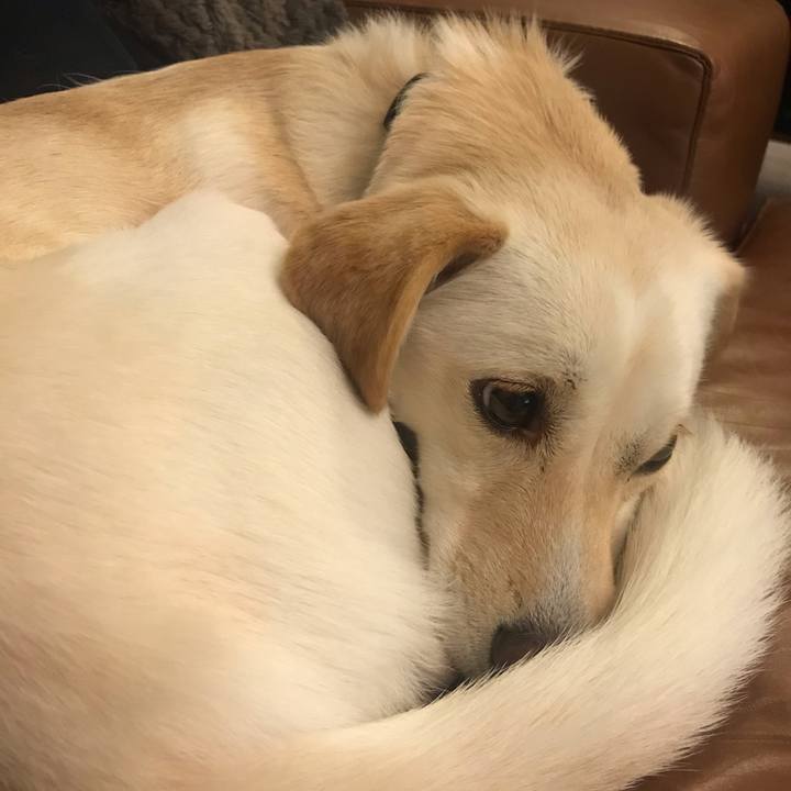 Fc7cb6a4 9608 4d8e 90e9 94477016a30b 1572863041282