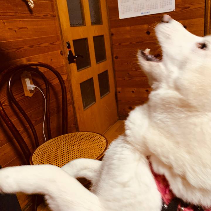 Fc7cbfaa bb79 4efe a087 799fc082f705 1576625854903