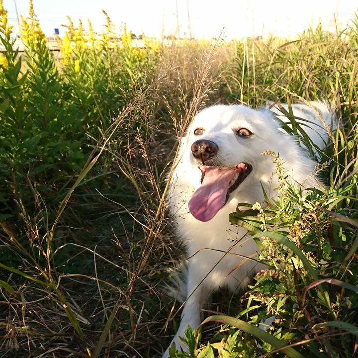 Fc7cc77b ad00 4b4c 9069 aa76f000dc33 1542269301250