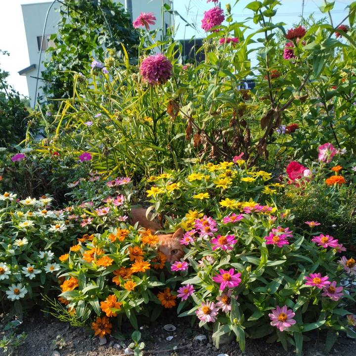 Fc7d0c5d a895 4c0a aa22 c123b90a2bed 1691276234138