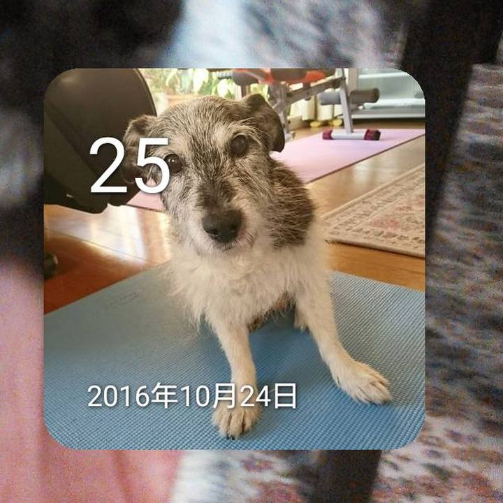 Fc7d1526 6f53 43e1 88df 61085dc43b56 1635171474499