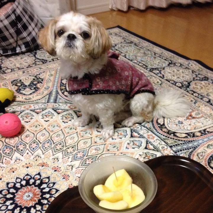 Fc7d482f 4dee 4196 820c d2ccde191f40 1508189534643