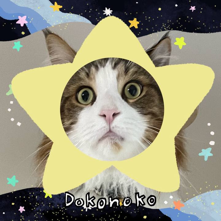 Fc7d71a8 b151 4c02 88e4 b92d2f068444 1721245818253