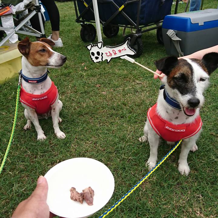 Fc7d7cd7 16a9 42fb 852c a8321ac5b28e 1567312918674