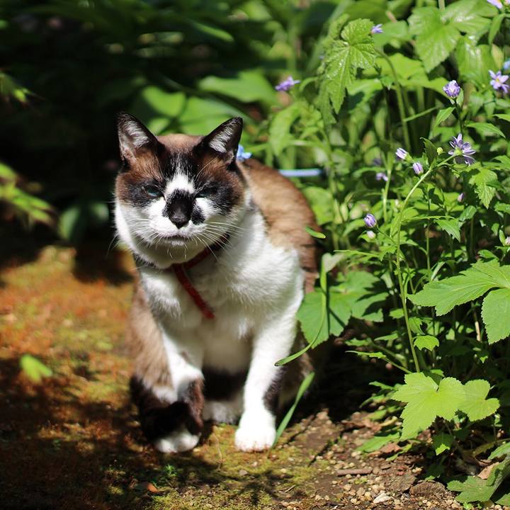 Fc7d8067 e53d 4773 ac54 01c3131a5a5c 1524440609608