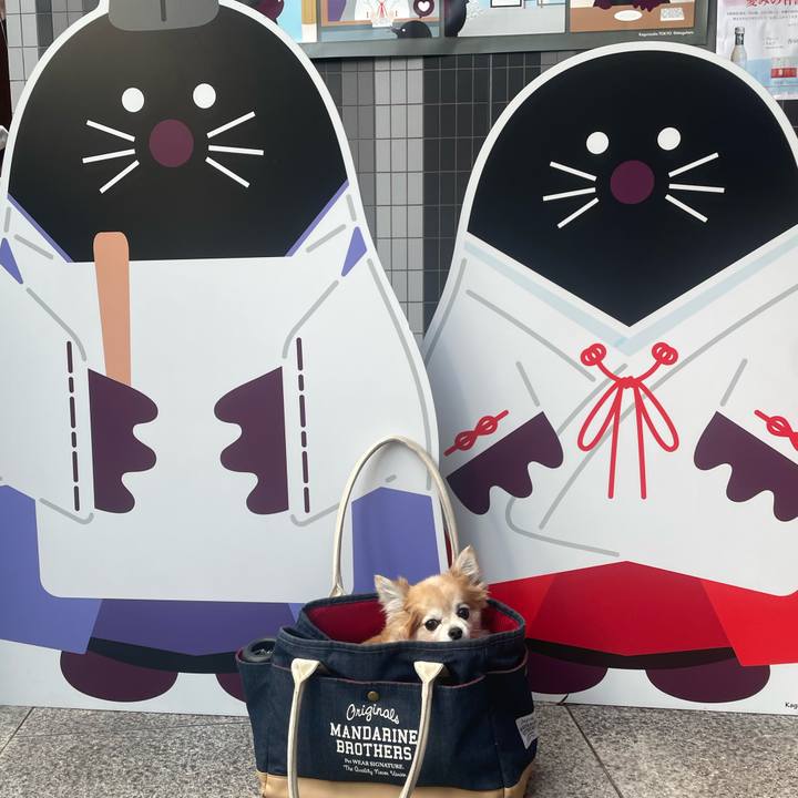 Fc7d8c48 f005 4344 ab06 c8ee79f37120 1767347707458