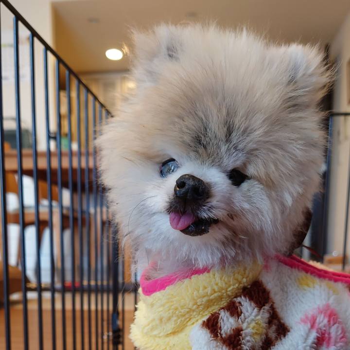 Fc7da994 9ca4 43fe aad3 45c6b2745b93 1616820386704